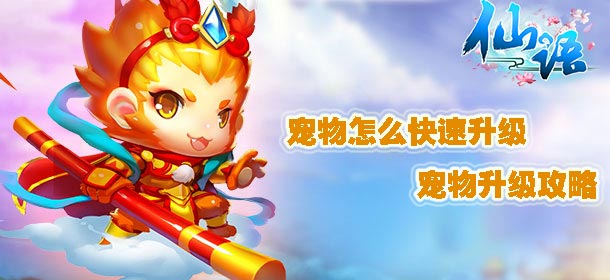 仙语宠物怎么快速升级 宠物升级攻略