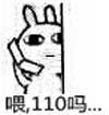 喂，110吗