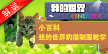 我的世界训猫