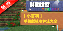 我的世界植物种植