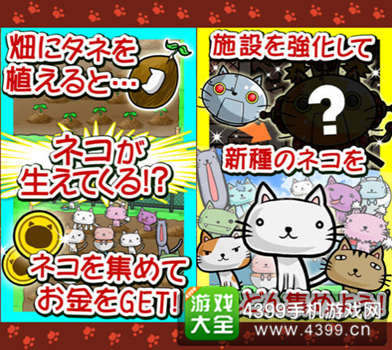 《猫畑》