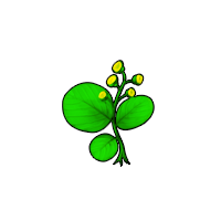 洪荒大劫篇星蒙草