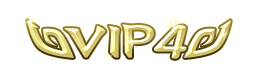 洪荒大劫篇VIP4 头衔 VIP4称号