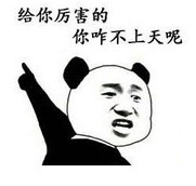 你咋不上天呢