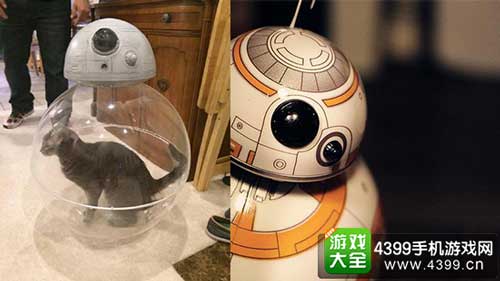 星战BB-8