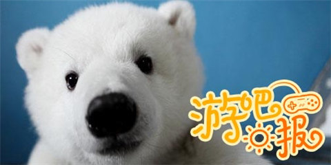 游吧日报：每个人都曾是熊孩子