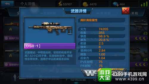 DSR-1