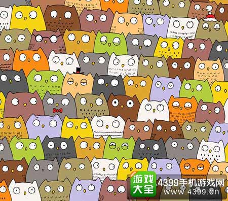 找猫猫