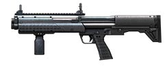 KSG