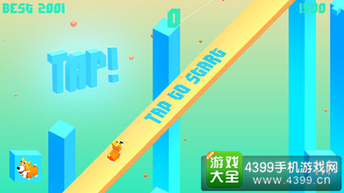 柯基短跑1