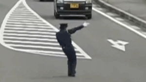 妖娆交警