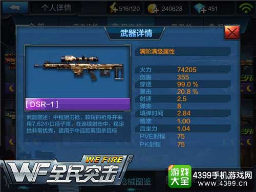 DSR-1