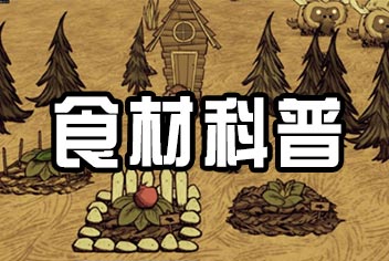 饥荒手机版食物怎么做 食材详解