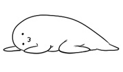 躺