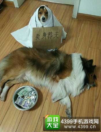 卖身葬父