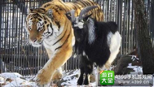 秀恩爱
