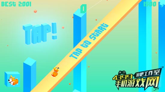 柯基短跑