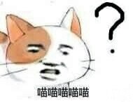 表情--喵星人