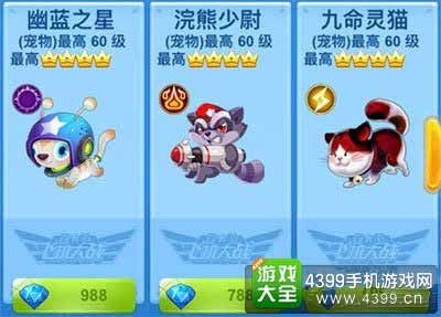 皇冠宠物
