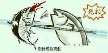 吃我鱼刺突击