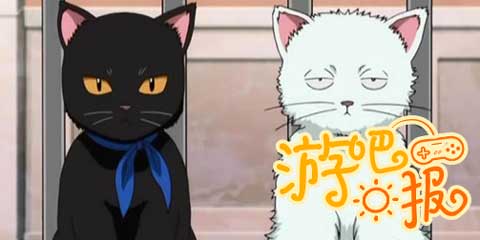 游吧日报：靠太近，暴露本性