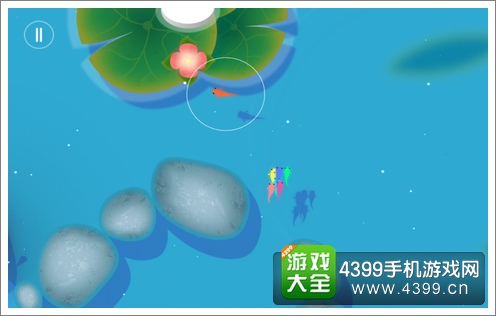 鲤评测