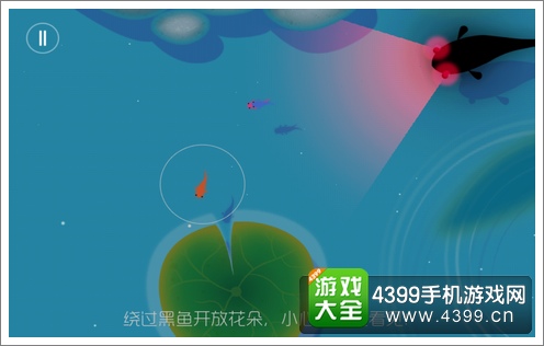 鲤的环境保护预示