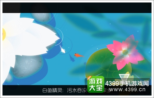 鲤