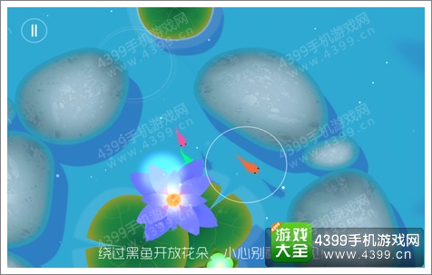 鲤怎么玩