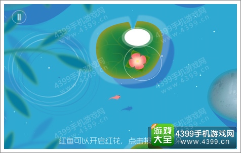 鲤怎么玩