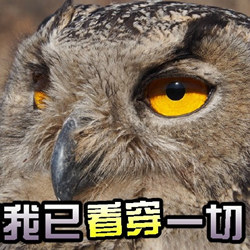 表情