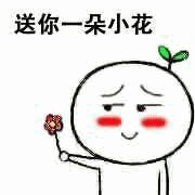 表情