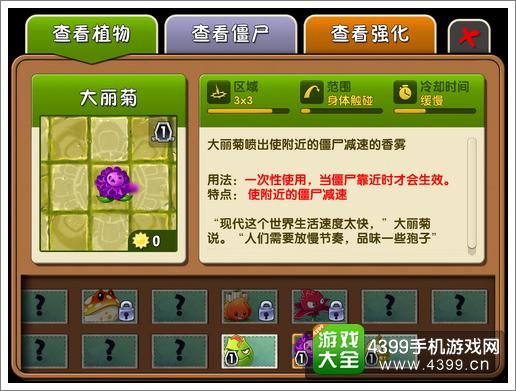 大丽菊