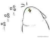 哈哈哈