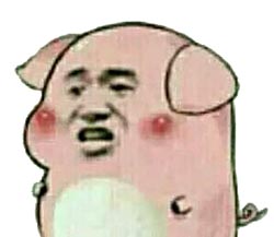 山猪