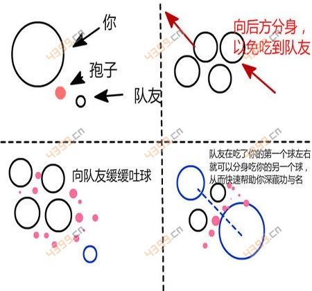 球球大作战合作技巧