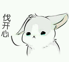表情