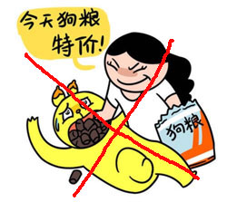 狗粮