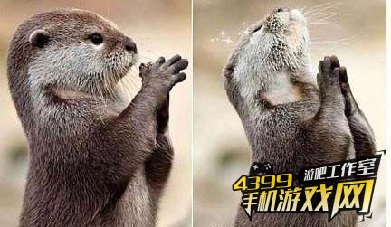 万能的神