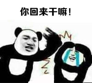 回来干嘛