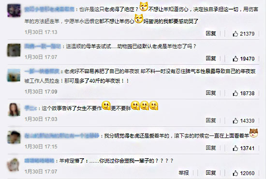 网友评论