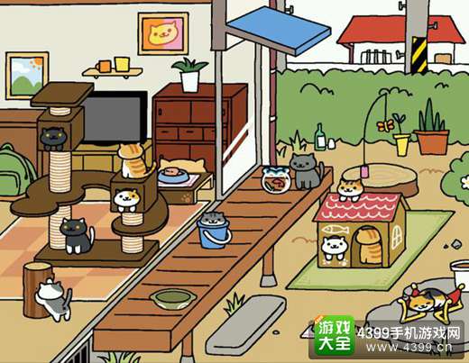 收集猫咪