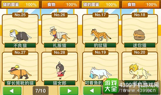 种类繁多的猫咪