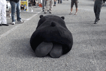 日报2