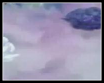 洪荒大劫篇云川通关攻略