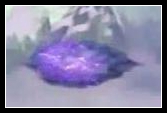 洪荒大劫篇云川通关攻略