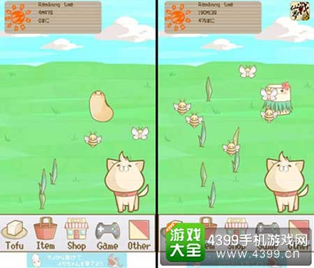 《豆腐宝宝》