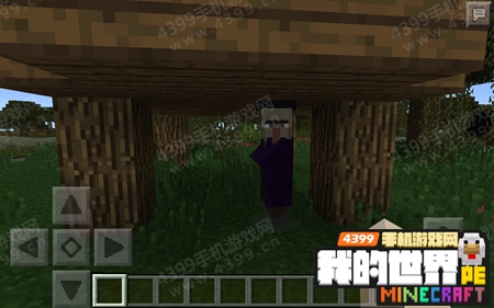 我的世界手机版沼泽小屋女巫