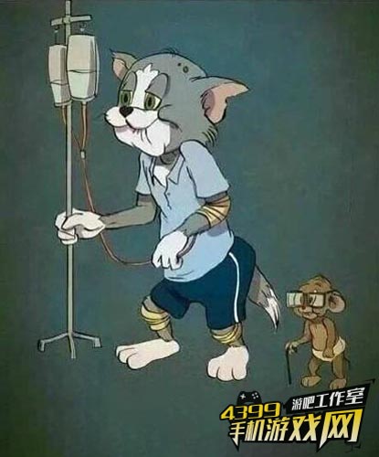 猫和老鼠