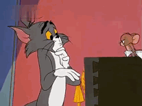 猫和老鼠